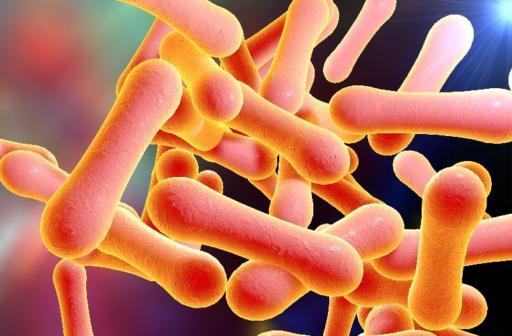 diphtheria